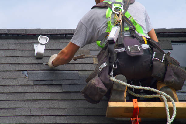 Roof Gutter Cleaning in Burke, VA