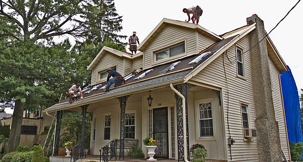 Best Local Roofing Companies  in Burke, VA