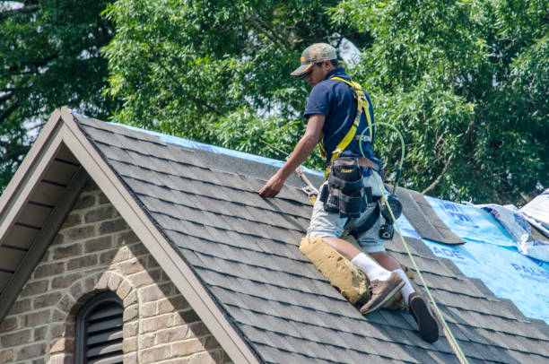 Best Shingle Roofing Installation  in Burke, VA